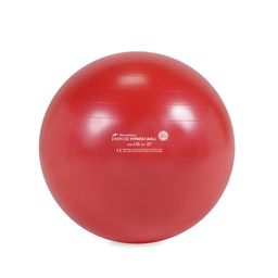 [RME525502] FITNESS BAL REHABMEDIC oefenballen (Rood, 55cm)