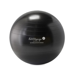 [RME526505] FITNESS BALL Palle per esercizi REHABMEDIC (Nero, 65 cm)