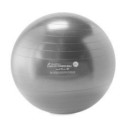 [RME527506] Μπάλες γυμναστικής FITNESS BALL REHABMEDIC (Ασήμι, 75 εκ)